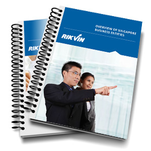 Overview of Singapore Business Entities Overview of Singapore Business Entities