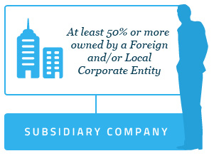 corporate structure of a subsidiary