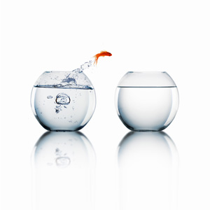 fish-jumping fish-jumping
