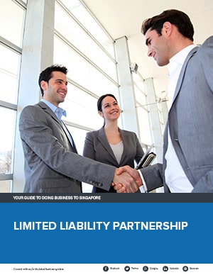 Limited Liability Partnership