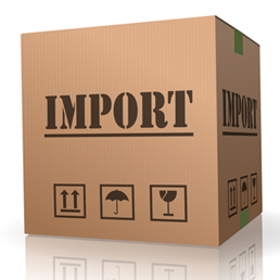 import imports export singapore importers goods form turkish mj tax imported turkey rikvin nigeria document