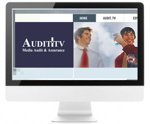 Audit.TV