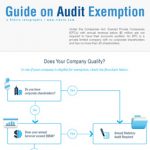 audit-exempt-thumb