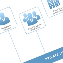 Structures of Singapore Corporate Entities