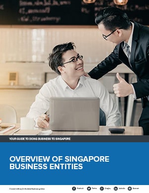 Overview of Singapore Business Entities