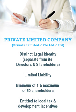 Singapore private limited company
