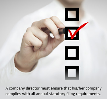 annual filing requirements - company directors