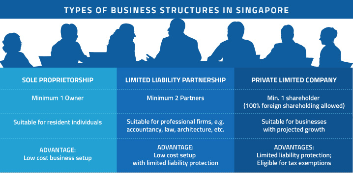 type of business structures in Singapore