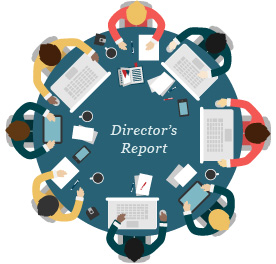 director's annual report