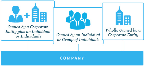 company shareholders