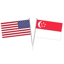 Ease of Doing Business: Singapore vs USA