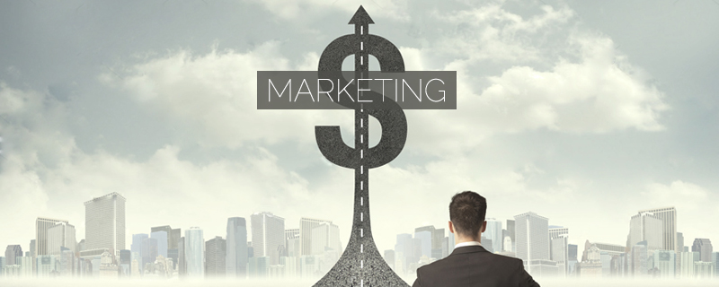 how much money you will spend annually on marketing