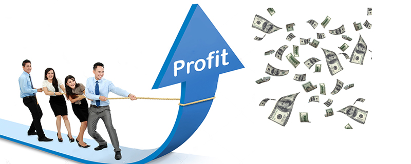 Make Profitability a must