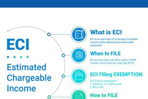 Guide to Estimated Chargeable Income (ECI)