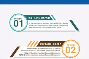Options for Tax Return Filing for Singapore Companies