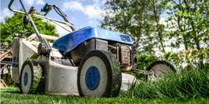 yard maintenance services startup