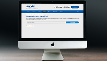 Doing a Singapore Company Name Check