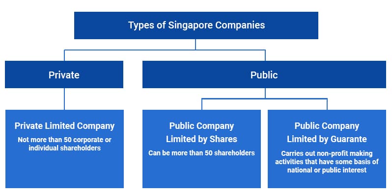 Types of Private Limited Companies in Singapore