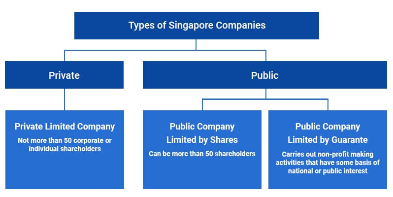  yksityisten osakeyhtiöiden tyypit Singaporessa