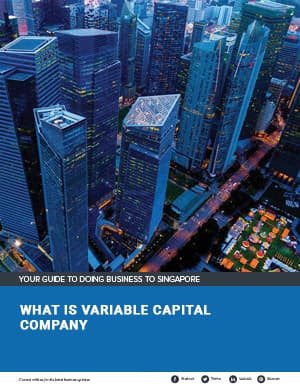 Guide to Singapore Variable Capital Company