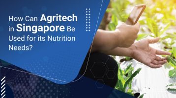 How Can Agritech in Singapore Be Used for its Nutrition Needs?
