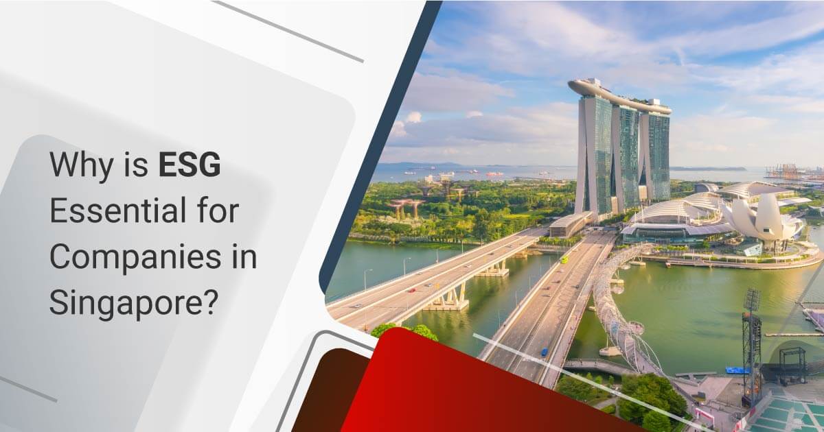 Why is ESG Essential for Companies in Singapore?