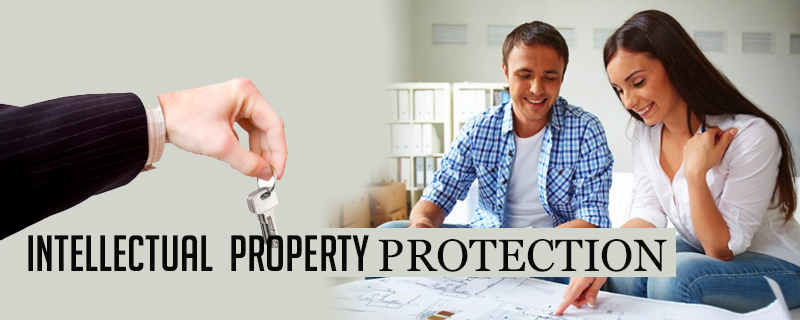 intellectual property protection