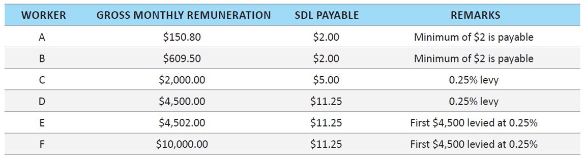 Skills Development Levy